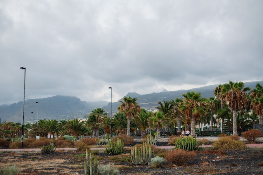 Vakantiehuis Tenerife
